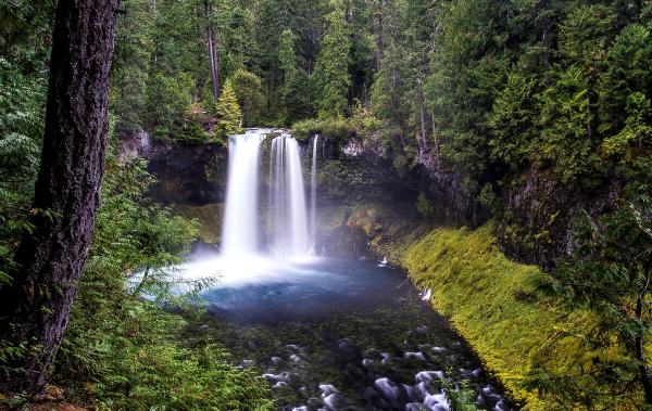 Сколько же все-таки надо пить воды в день? Ученые пришли к выводу