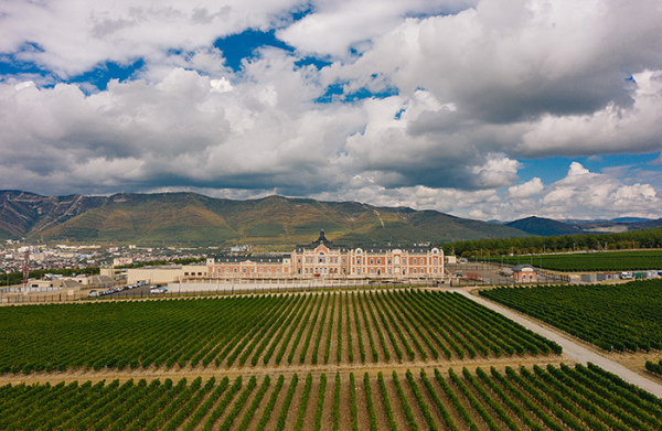 Туристическая инфраструктура: готовы ли виноделы к роли отельеров