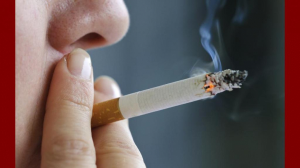 Как снизить холестерин в крови у женщин: народные средства и лекарственные препараты. Чистка организма от шлаков и токсинов Как снизить холестерин в крови у женщин: народные средства и лекарственные препараты. Чистка организма от шлаков и токсинов