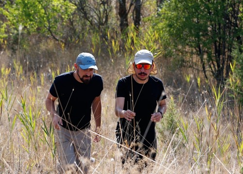 На востоке Турции засняли бабочек «ледникового периода»