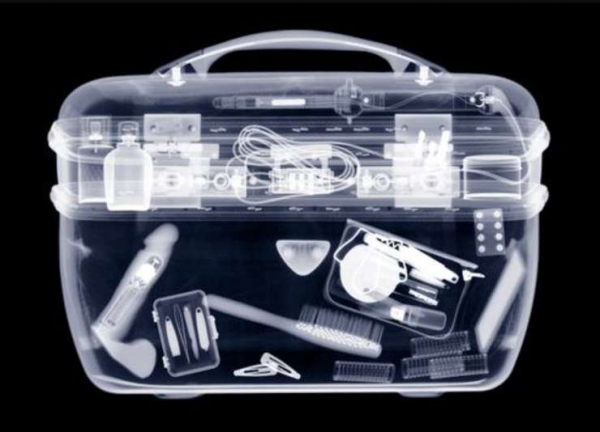 И не жужжит: как провезти через таможню ваши секс-игрушки