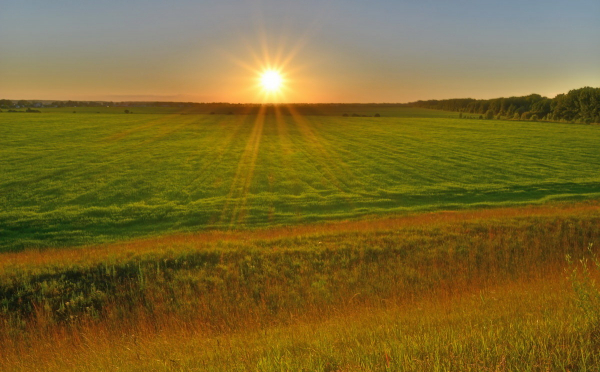 Начался парад магнитных бурь: как пережить шторм с 18 по 23 июля Начался парад магнитных бурь: как пережить шторм с 18 по 23 июля