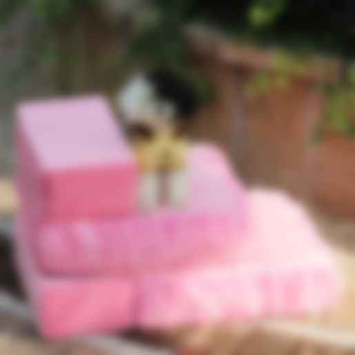 7 полезных гаджетов для домашних животных