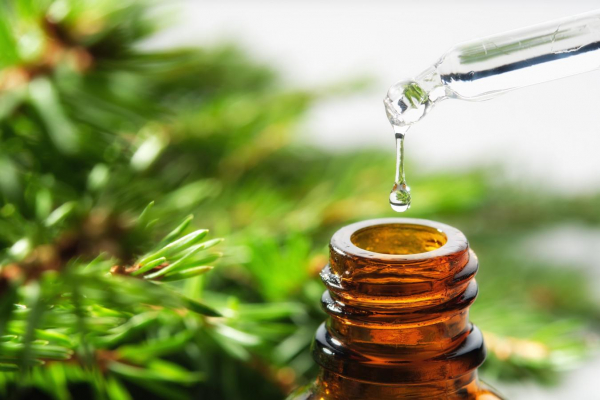 Как избавиться от чешуйницы в квартире: эффективные средства