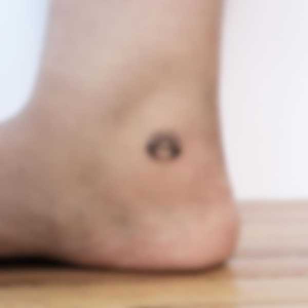 Красивые татуировки на щиколотке для девушки – эскизы с фото Красивые татуировки на щиколотке для девушки – эскизы с фото