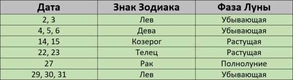 Благоприятные дни для стрижки на декабрь 2023 года