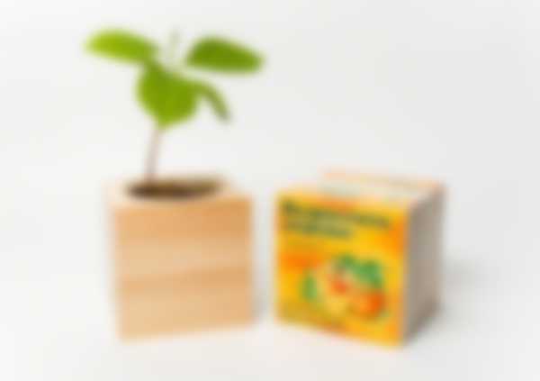 Что подарить девочке 9 лет на Новый год 2022 недорого Что подарить девочке 9 лет на Новый год 2022 недорого