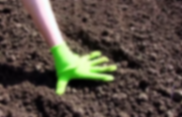 Как сажать морковь в открытый грунт семенами Как сажать морковь в открытый грунт семенами