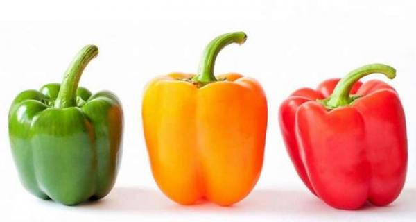 Полезные продукты при беременности: перечень, рецепты приготовления Полезные продукты при беременности: перечень, рецепты приготовления