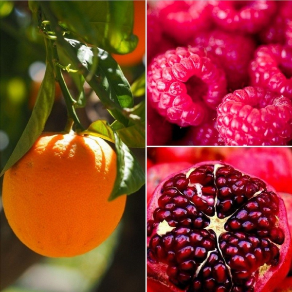 Дроженников: «Густая кровь — это инфаркт, инсульт и другие болячки. Вот как ее вылечить. Попробуй!». Эффективные советы. Дроженников: «Густая кровь — это инфаркт, инсульт и другие болячки. Вот как ее вылечить. Попробуй!». Эффективные советы.