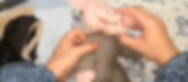 Как сделать крысу из капрона на Новый 2020 год Как сделать крысу из капрона на Новый 2020 год