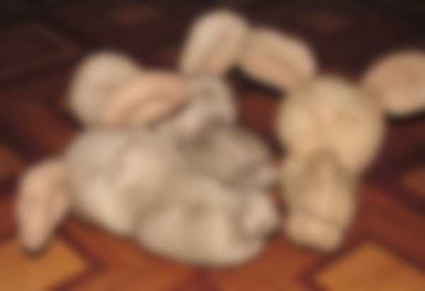 Как сделать крысу из капрона на Новый 2020 год Как сделать крысу из капрона на Новый 2020 год