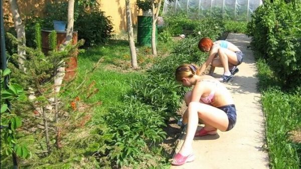 А вы умеете правильно загорать на даче? А вы умеете правильно загорать на даче?