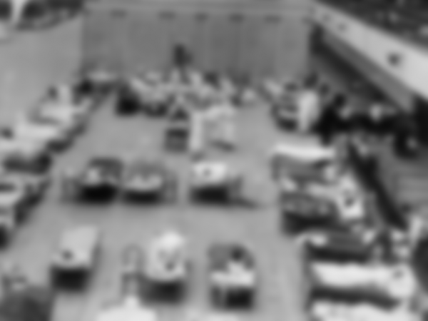 Эпидемия гриппа испанки 1918 года в России Эпидемия гриппа испанки 1918 года в России