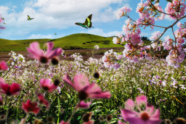 Аллергия: 6 самых редких видов аллергических реакций, известных науке. Какие проявления аллергии могут быть смертельны Аллергия: 6 самых редких видов аллергических реакций, известных науке. Какие проявления аллергии могут быть смертельны