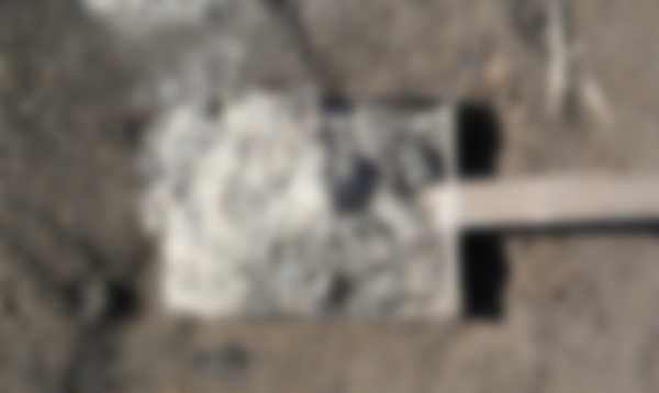 Как посадить клубнику осенью в открытый грунт Как посадить клубнику осенью в открытый грунт