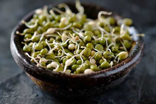 Крупа маш: польза и вред для организма Крупа маш: польза и вред для организма