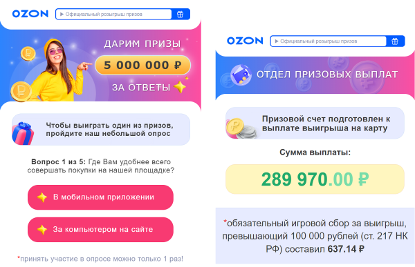 Ozon и F.A.C.C.T. назвали основные мошеннические схемы при онлайн-покупках Ozon и F.A.C.C.T. назвали основные мошеннические схемы при онлайн-покупках
