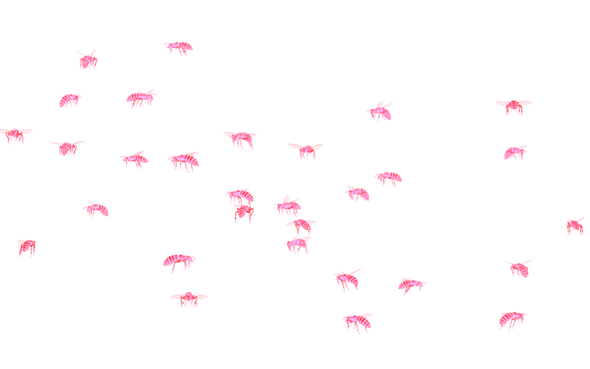 Кто меня укусил и что с этим делать? Все, что нужно знать об укусах насекомых и не только