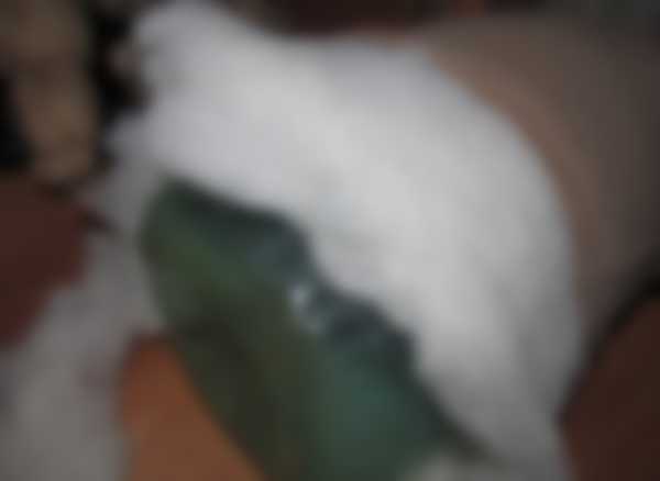 Как сделать крысу из капрона на Новый 2020 год Как сделать крысу из капрона на Новый 2020 год