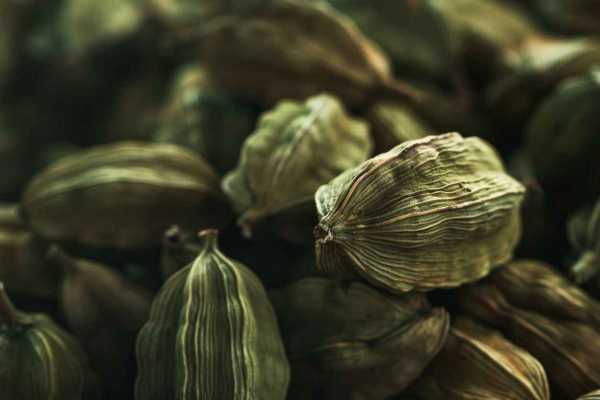 Кардамон: полезные свойства и возможный вред для организма