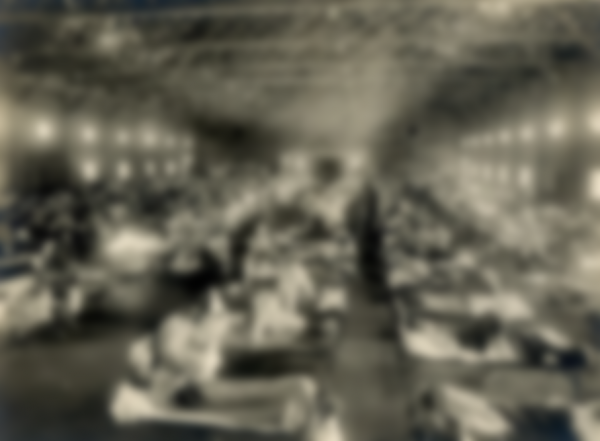 Эпидемия гриппа испанки 1918 года в России Эпидемия гриппа испанки 1918 года в России