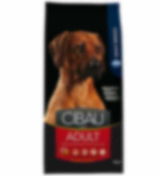 Рейтинг самых лучших сухих кормов для собак 2022 года