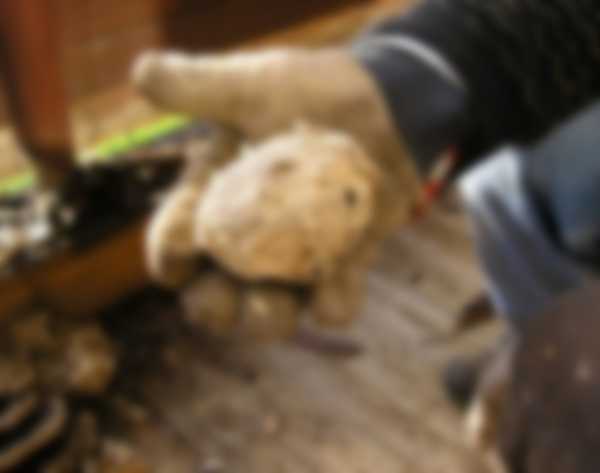 Как избавиться от осиного гнезда Как избавиться от осиного гнезда