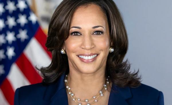 Кто уже сейчас в Демпартии США может заменить Байдена и как они относятся к России Кто уже сейчас в Демпартии США может заменить Байдена и как они относятся к России