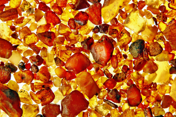 Янтарная кислота – польза для красоты и здоровья Янтарная кислота – польза для красоты и здоровья