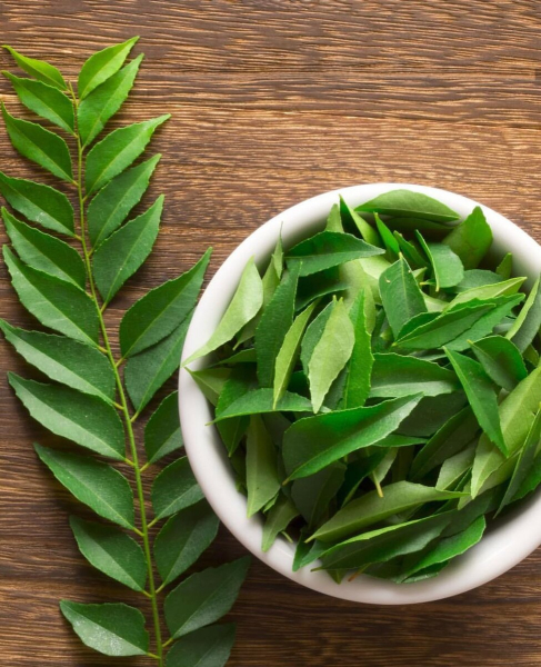 Лечим лишай в домашних условиях