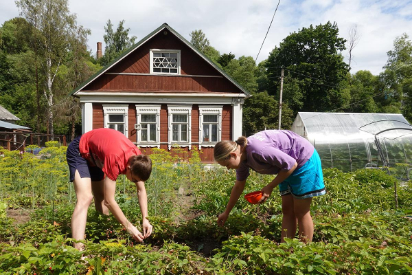 В России определили признаки для изъятия дачных участков и земель под ИЖС В России определили признаки для изъятия дачных участков и земель под ИЖС