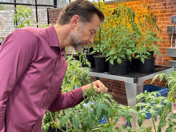 Этот чудо-напиток сделает вашу эрекцию каменной: пейте его каждый день Этот чудо-напиток сделает вашу эрекцию каменной: пейте его каждый день