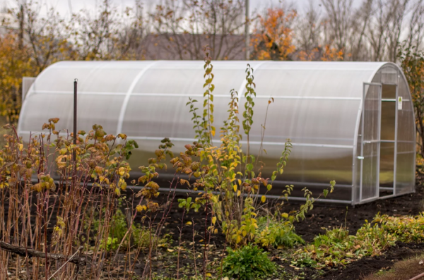 Как завершить дачный сезон правильно: 6 важных шагов Как завершить дачный сезон правильно: 6 важных шагов