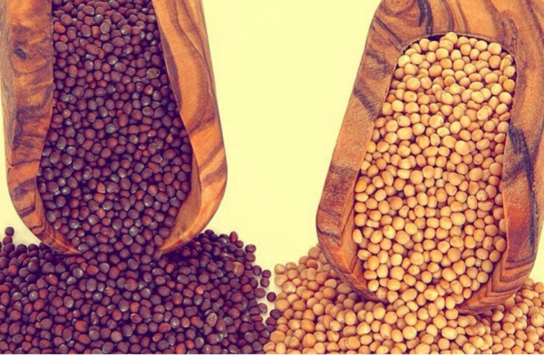 Лечим лишай в домашних условиях