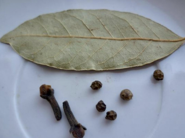 Кладу в туалете мешочек с лавровым листом, а гости удивляются, для чего он там нужен (рассказываю хитрость с «лаврушкой») Кладу в туалете мешочек с лавровым листом, а гости удивляются, для чего он там нужен (рассказываю хитрость с «лаврушкой»)