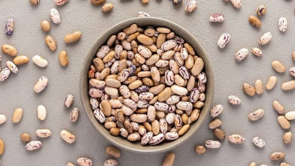 9 лучших и худших источников белка 9 лучших и худших источников белка