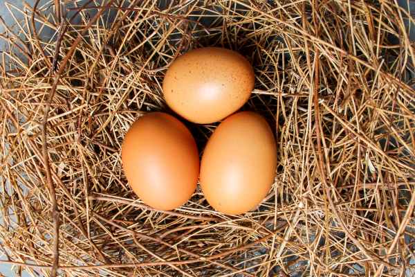 Что будет, если съедать три яйца в день? Что будет, если съедать три яйца в день?