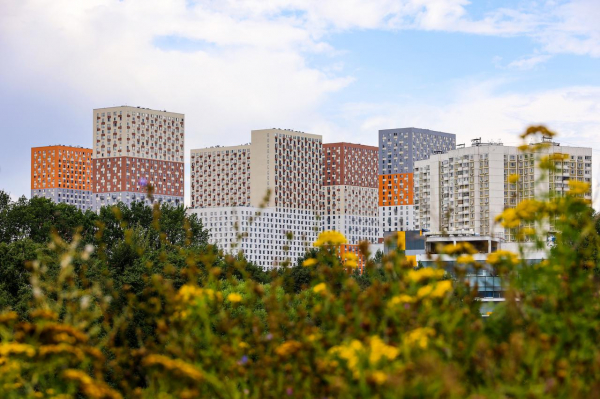 В России ввели стандарт защиты ипотечных заемщиков. Что это значит В России ввели стандарт защиты ипотечных заемщиков. Что это значит