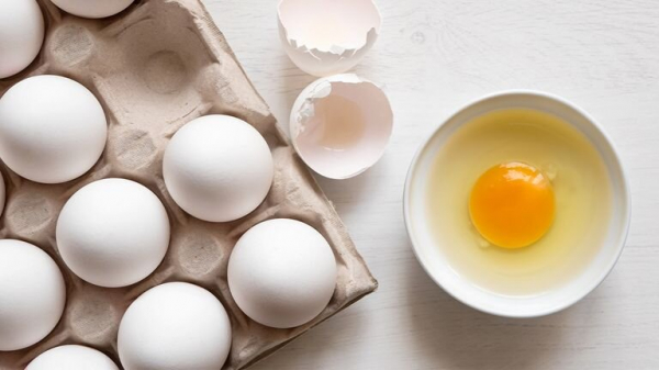 9 лучших и худших источников белка 9 лучших и худших источников белка