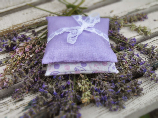 Причины появления затхлого запаха в шкафу, как решить эту проблему Причины появления затхлого запаха в шкафу, как решить эту проблему