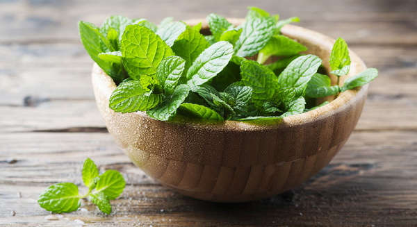 Магнитные бури сегодня, 21 октября 2024 года, станут причиной плохого самочувствия Магнитные бури сегодня, 21 октября 2024 года, станут причиной плохого самочувствия