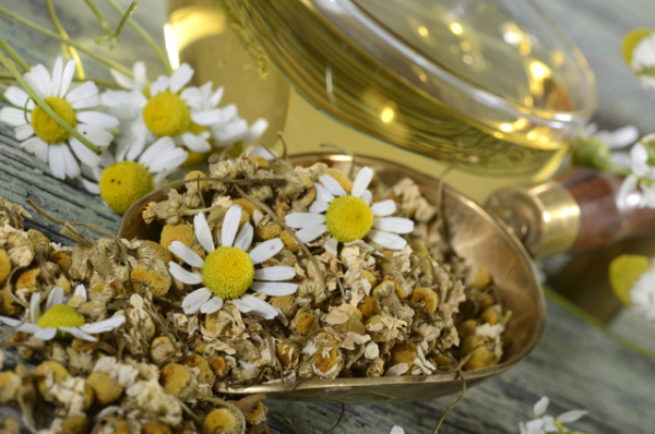 Какие народные средства помогут очистить сосуды от холестериновых бляшек