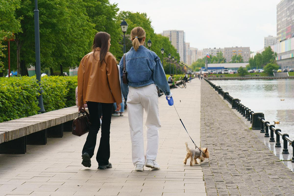 Собака в московской квартире: какое жилье выбрать и где гулять Собака в московской квартире: какое жилье выбрать и где гулять