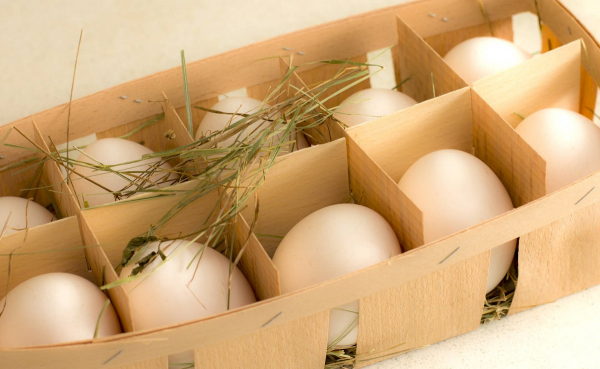 Советы по хранению яиц: стоит ли держать их в холодильнике Советы по хранению яиц: стоит ли держать их в холодильнике
