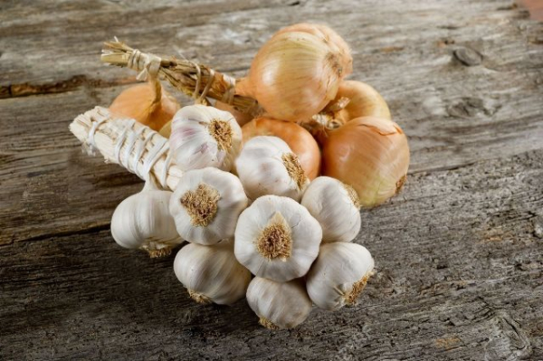 Секреты долговременного хранения лука: от сбора до зимнего стола Секреты долговременного хранения лука: от сбора до зимнего стола