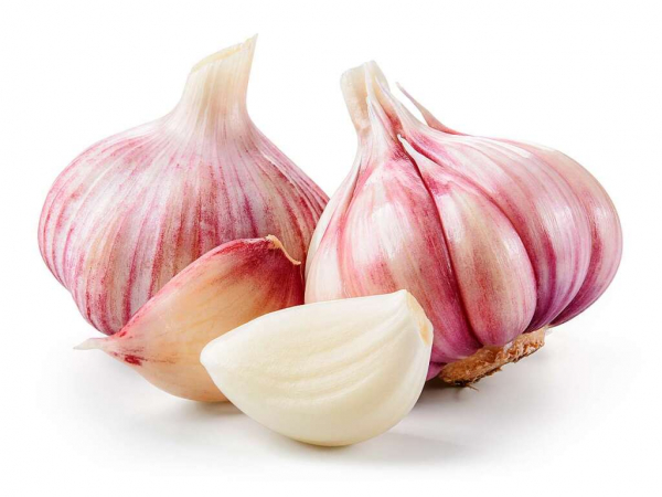 5 эффективных методов выгнать пауков из дома 5 эффективных методов выгнать пауков из дома