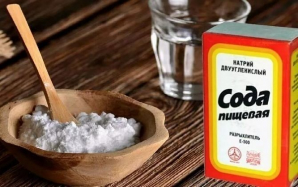 Какой копеечный порошок выгонит мышей из дома навсегда Какой копеечный порошок выгонит мышей из дома навсегда