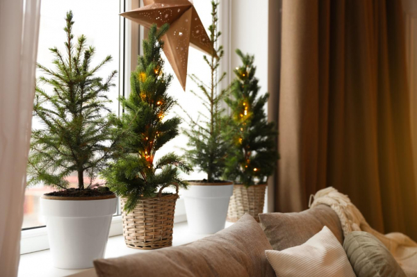 Как украсить окна на новый год: 16 идей Как украсить окна на новый год: 16 идей