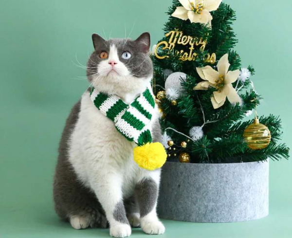 Свитер с оленями и елками — и еще 7 видов забавной одежды для Нового года Свитер с оленями и елками — и еще 7 видов забавной одежды для Нового года